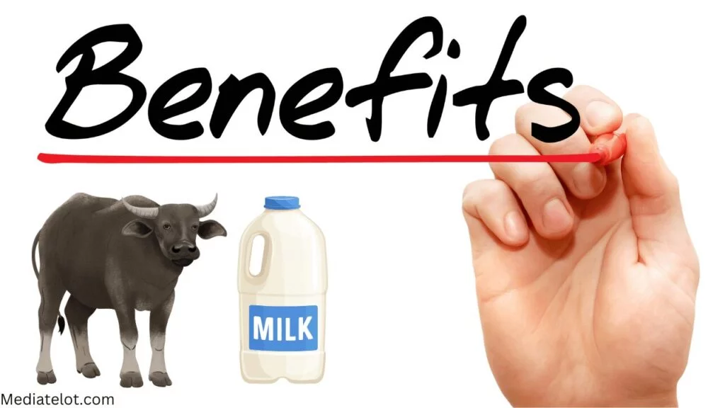 8 Health Benefits of Buffalo Milk