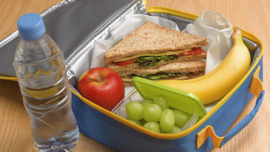 What Do You Use to Carry Your Packed Lunch to Work?