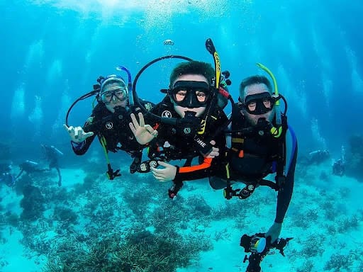 Scuba Diving Tours in the Maldives: A Paradise for Underwater Enthusiasts