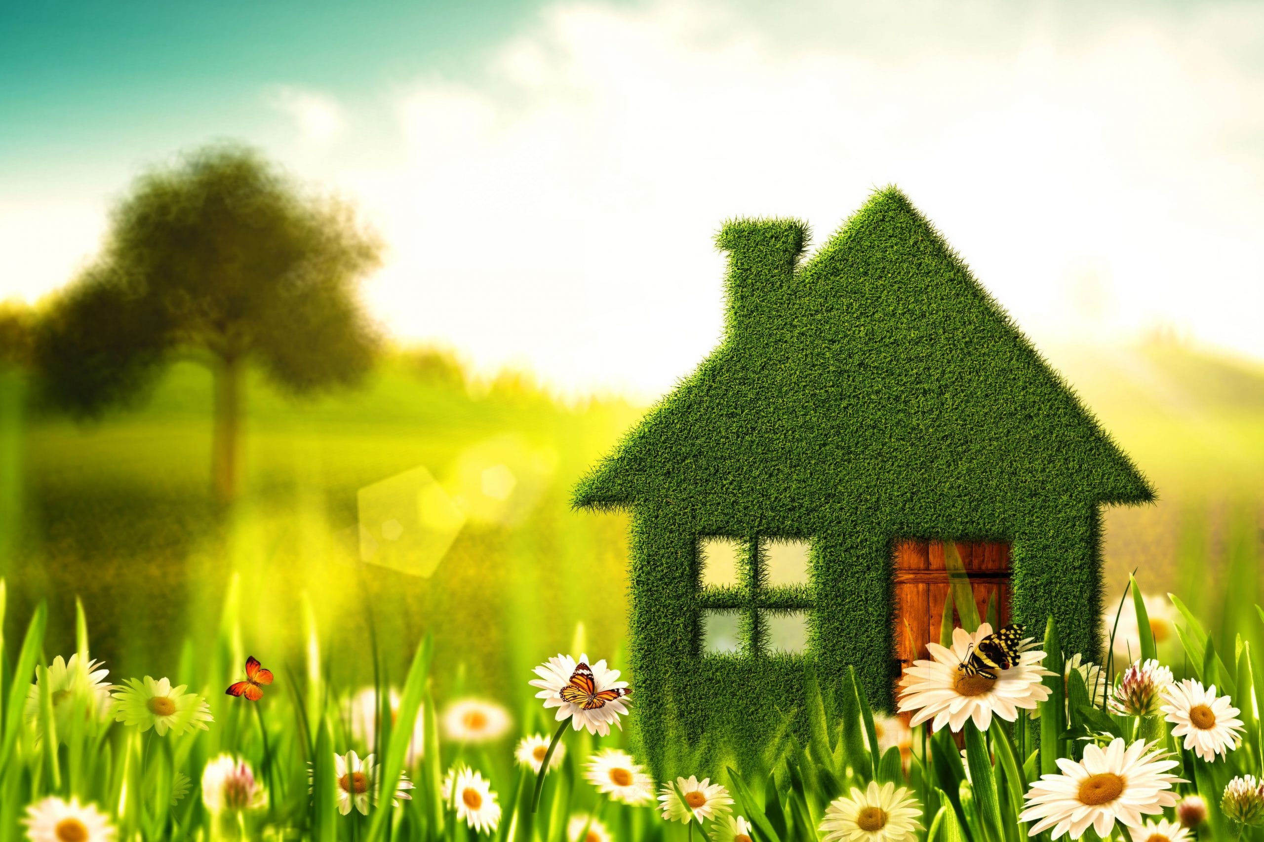 Spring Selling Success: 10 Essential Steps to Sell Your Tampa Home Quickly