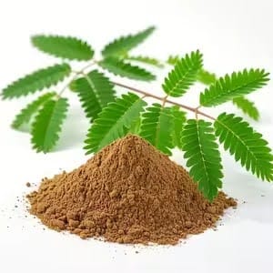 Mimosa Hostilis Root Bark Wholesale